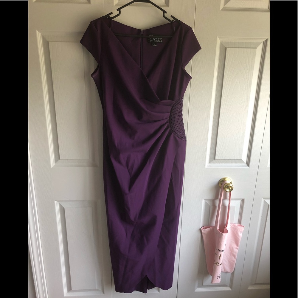 Alex Evenings Formal Dress Size 14P